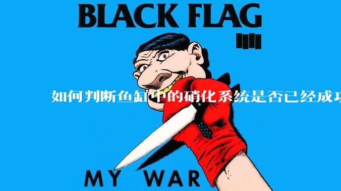 如何判断鱼缸中的硝化系统是否已经成功建立？