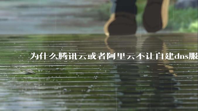 为什么腾讯云或者阿里云不让自建dns服务器?